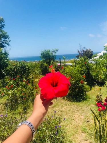 Hostal Hebergement Vue Sur Mer