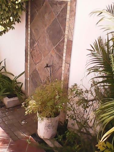 Apartamento Rosemary (le Romarin)