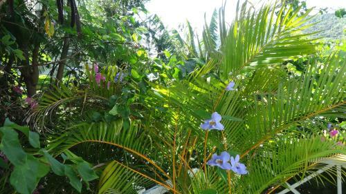 Bed And Breakfast Maison Papaye