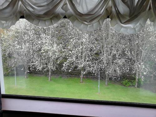 Bed & Breakfast Whitestream House