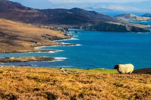 Great National Mulranny Park Hotel