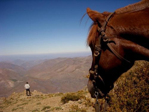 Hacienda Los Andes