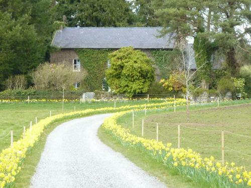 Bed & Breakfast Cullintra House