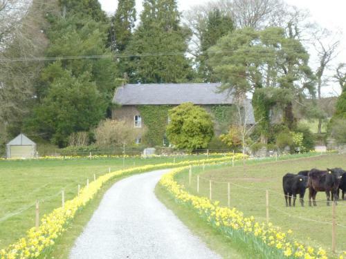 Bed & Breakfast Cullintra House