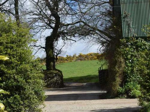 Bed & Breakfast Cullintra House