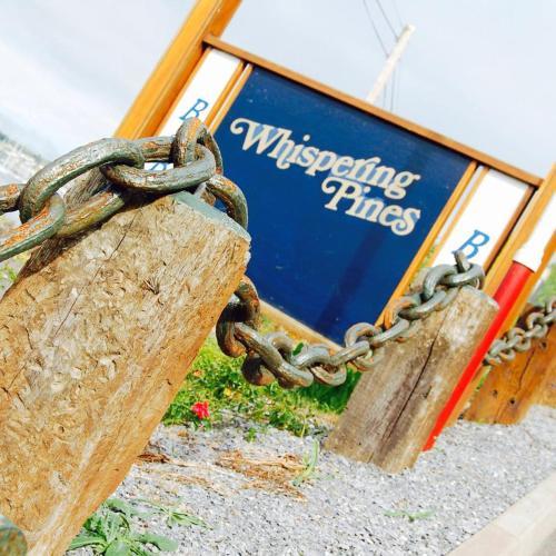 Hostal Whispering Pines