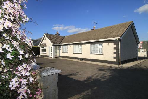 Mountain View B&B
