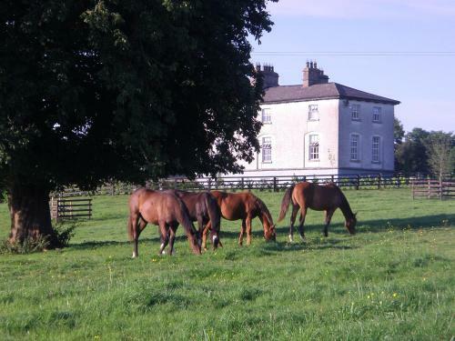 Agroturismo Glebe House