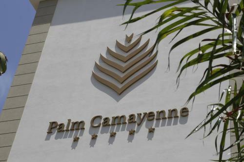 Hotel Palm Camayenne