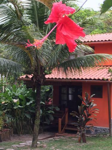 Hostal Vila Sofia Pousada