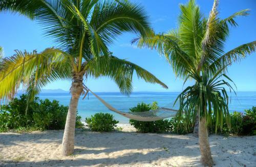 Hotel Vomo Island Resort
