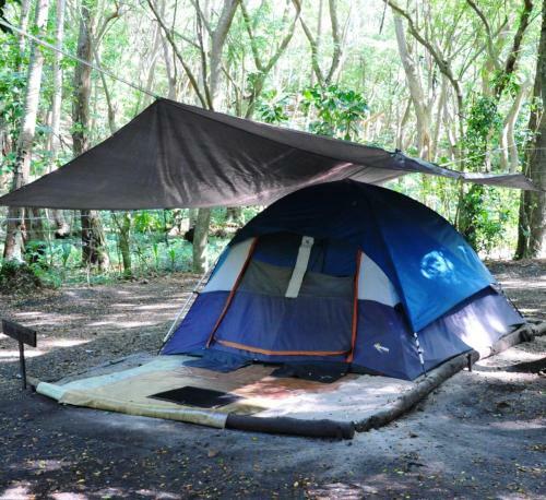 Hostal Dolphin Bay Divers Retreat
