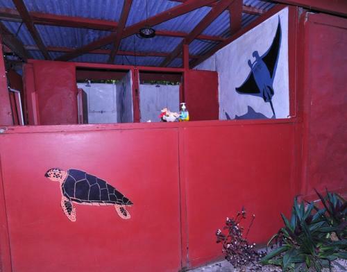 Hostal Dolphin Bay Divers Retreat