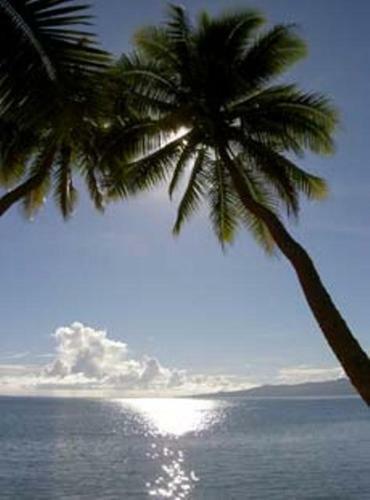 Hostal Dolphin Bay Divers Retreat
