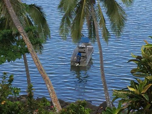 Island Breeze Fiji