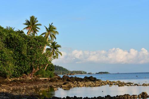 Island Breeze Fiji