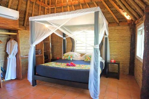 Hotel Octopus Resort