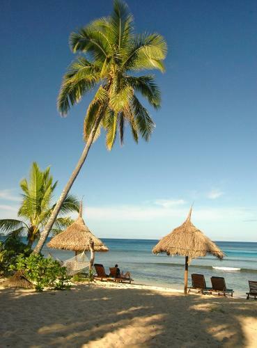 Hotel Octopus Resort