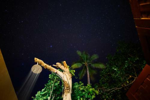 Hotel Yasawa Island Resort & Spa