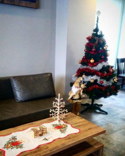 Hostal Villa Petra