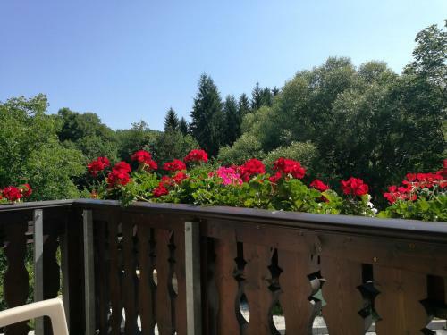 Park Hotel Izvorite