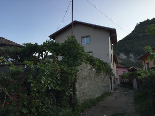 Hostal Elenite Guesthouse