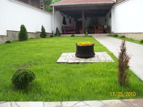 Hostal Hera Guest House