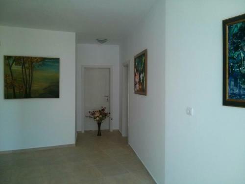 Belvedere Apartments