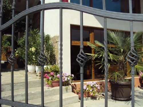 Hostal Amfora Guest House