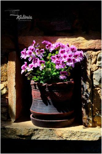 Kalinia Guesthouse B&B
