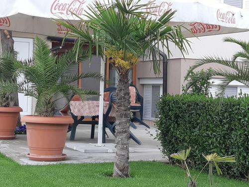 Hostal Villa Ros Guest House