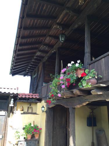 Choksheva House