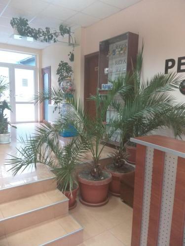 Family Hotel Relax
