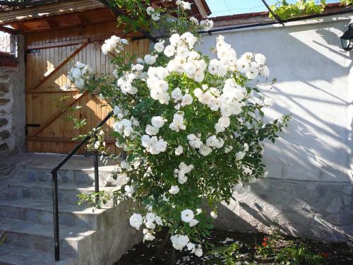 Hostal Guesthouse Argacho