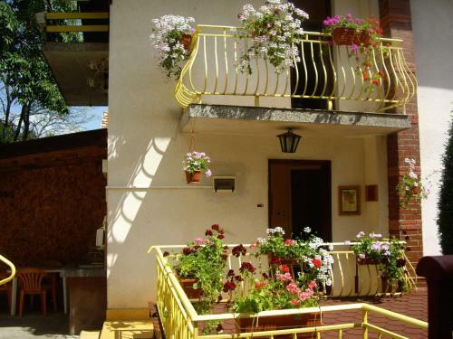 Hostal Guest House Rusalka