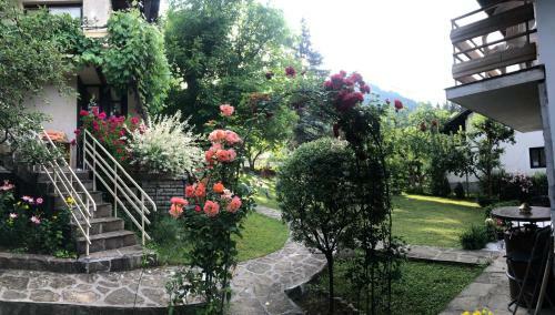 Hostal Luylyana Guesthouse