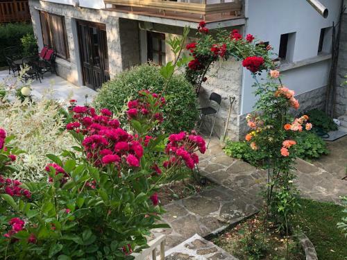 Hostal Luylyana Guesthouse