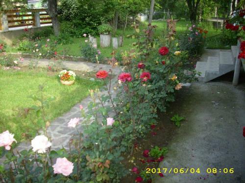 Hostal Villa Ribarica