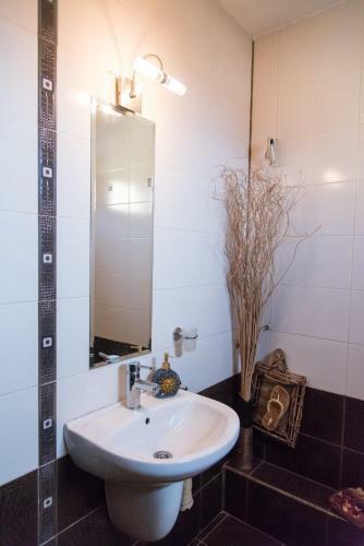 Apartment Tanevi