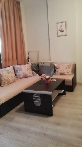 Apartment Karina