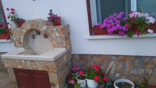 Hostal Guest House Meraklii