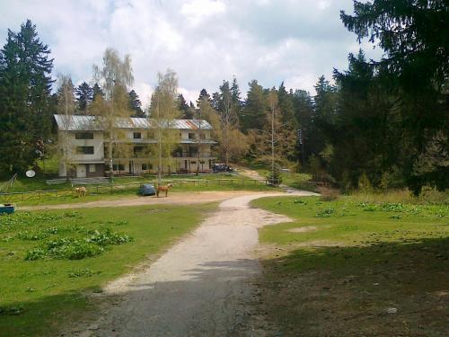 Hostal Kompleks Zeleni Preslap