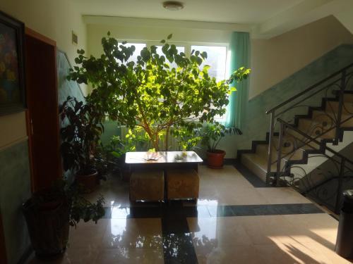 Paradise Hotel