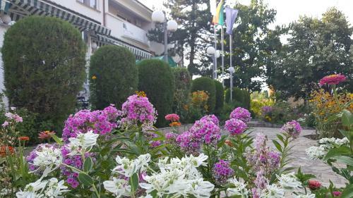 Paradise Hotel