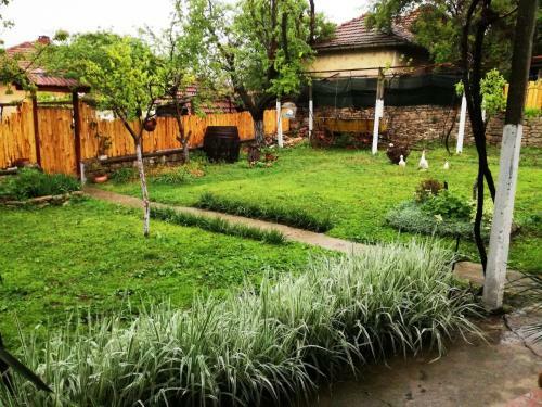 Hostal Divna Guest House