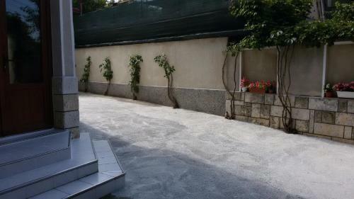Hostal Guest House Orfey