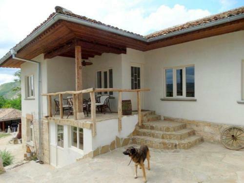 Guest House Biekorf