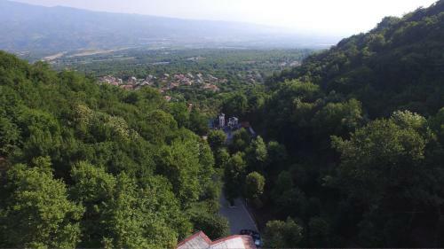 Hotel Saint Nedelya