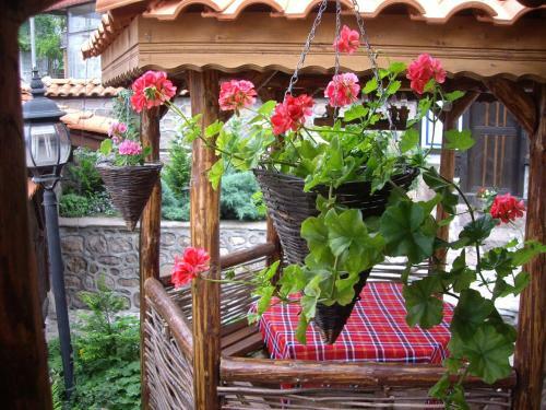 Hotel Popsokol House