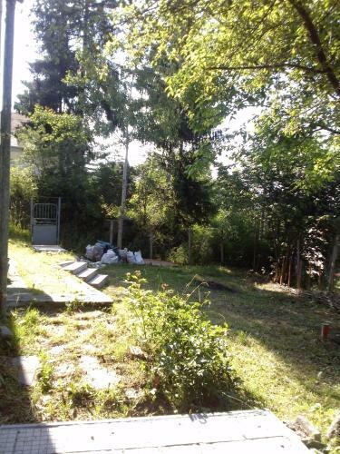 Guest House Zdravets